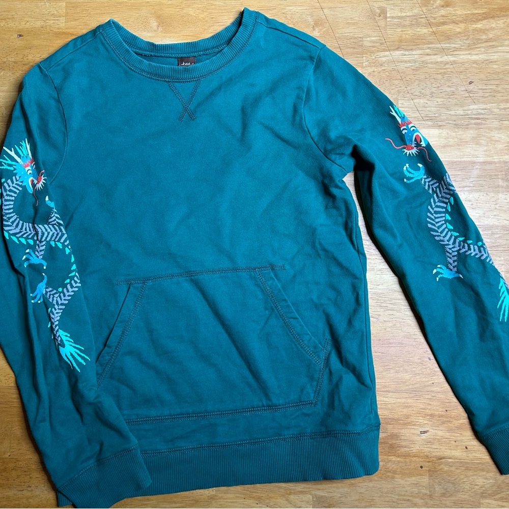 Tea Collection Boys Sweatshirt with Dragon printed sleeves